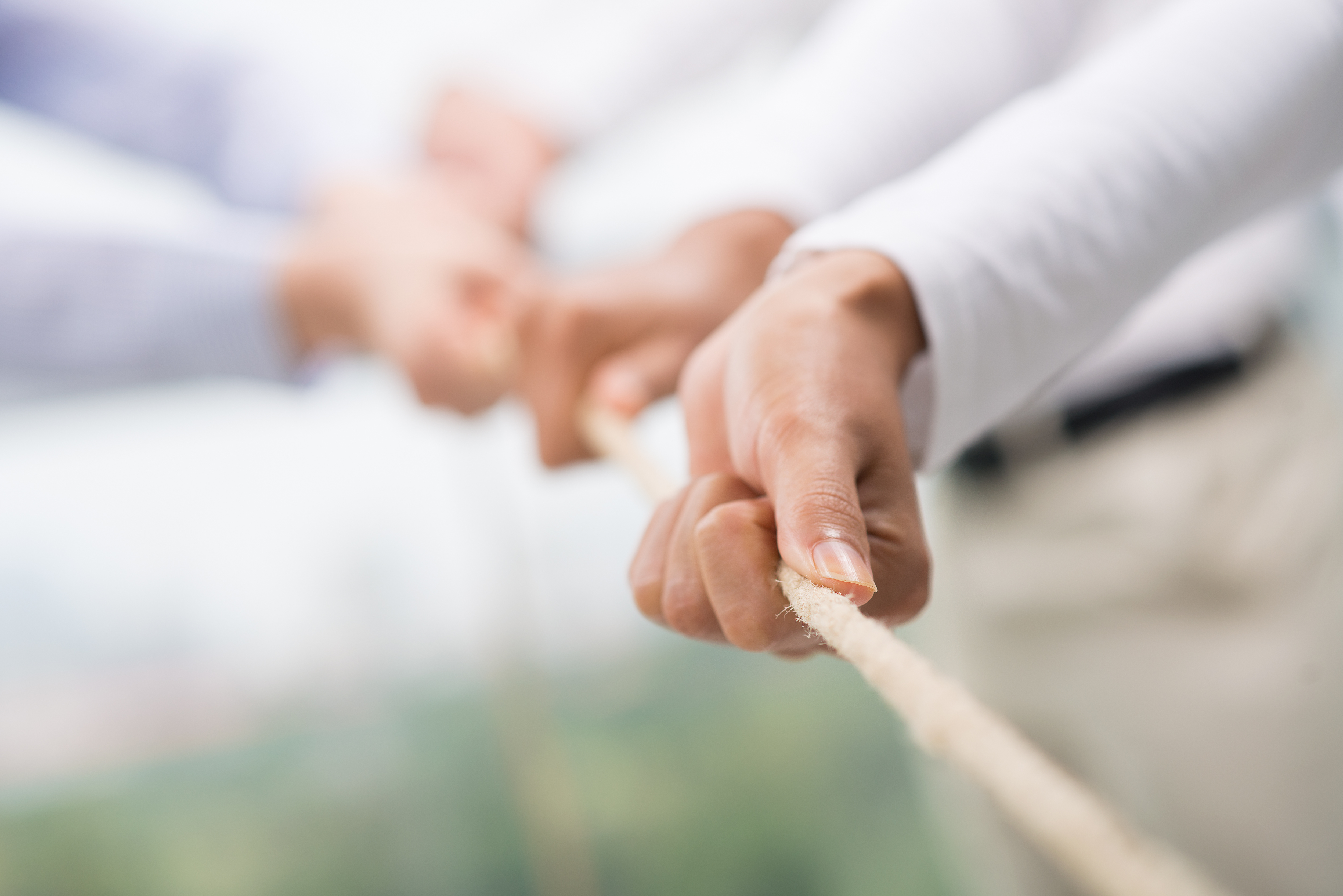 open to collabration